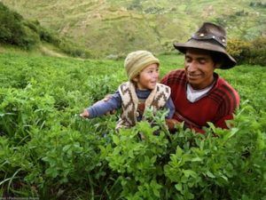 Peru Pachamama Raymi